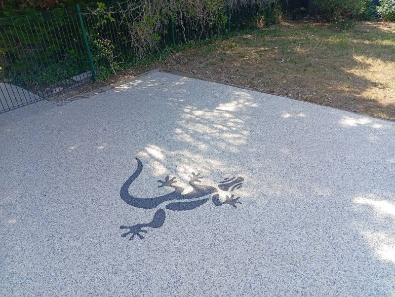 Motif en moquette de pierre une Salamandre
